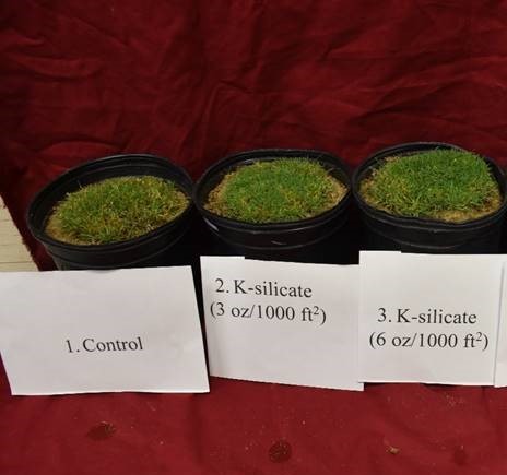 Turf Management Basics - Silicon: A Beneficial Element